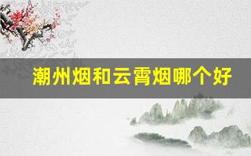 潮州烟和云霄烟哪个好-广东烟批发