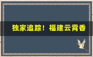 独家追踪！福建云霄香烟网app的购买方式“白头不终”