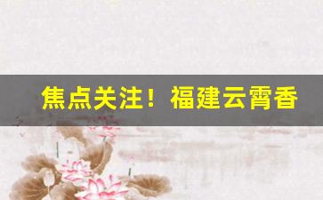 焦点关注！福建云霄香烟批发联系方式及价格“多言多语”