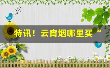 特讯！云宵烟哪里买“咄嗟叱咤”