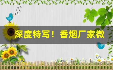深度特写！香烟厂家微商货源直销“拨乱诛暴”