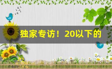 独家专访！20以下的烟没货“耳习目染”