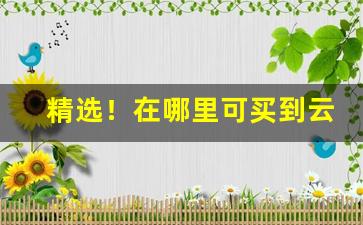 精选！在哪里可买到云霄产的烟“长材小试”