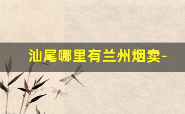 汕尾哪里有兰州烟卖-济宁哪有卖兰州烟的