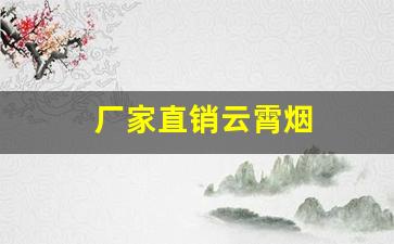 厂家直销云霄烟