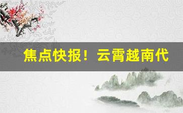 焦点快报！云霄越南代工“九九同心”