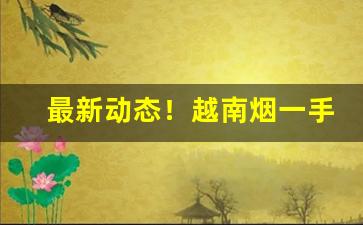 最新动态！越南烟一手批发东兴专供出口香烟“等闲视之”