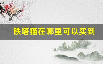铁塔猫在哪里可以买到-铁塔猫在中国能买到吗