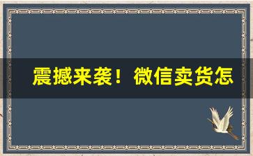 震撼来袭！微信卖货怎么找货源“长治久安”