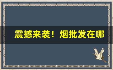 震撼来袭！烟批发在哪里批“槁形灰心”