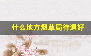 什么地方烟草局待遇好-烟草局各省待遇排名