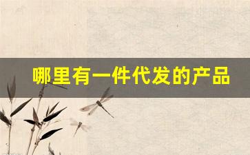 哪里有一件代发的产品-一件代发在哪儿拿货