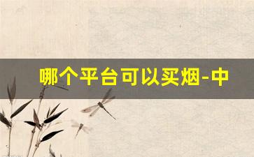 哪个平台可以买烟-中国烟草直营店官网
