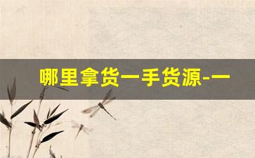 哪里拿货一手货源-一手货源进货渠道