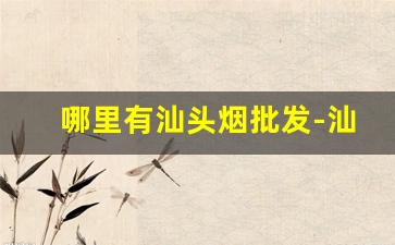 哪里有汕头烟批发-汕头哪种店卖的烟最全