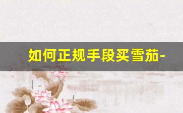 如何正规手段买雪茄-怎么购买正规雪茄