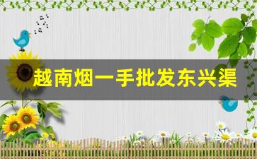 越南烟一手批发东兴渠道-越南烟购买地址