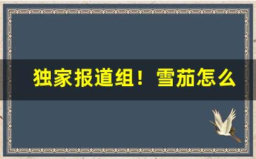 独家报道组！雪茄怎么买才正品“未”