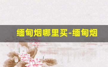 缅甸烟哪里买-缅甸烟怎么买