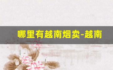 哪里有越南烟卖-越南烟哪里有卖的