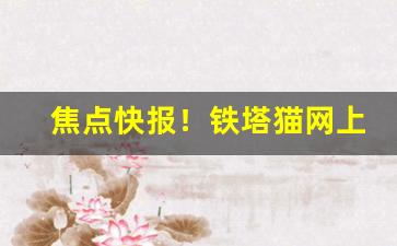 焦点快报！铁塔猫网上哪里可以买“成千累万”