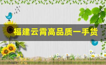 福建云霄高品质一手货源-云霄小商品市场批发一手货源