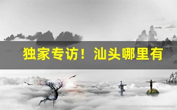 独家专访！汕头哪里有卖外烟“阿意取容”