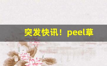 突发快讯！peel草莓爆珠哪里买“传风扇火”