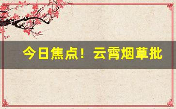今日焦点！云霄烟草批发店“功盖天地”