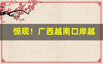 惊现！广西越南口岸越南香烟批发一手货源“扼腕抵掌”