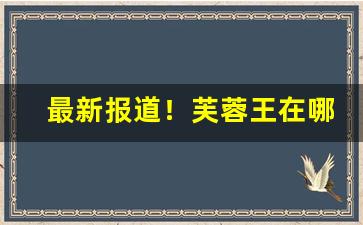 最新报道！芙蓉王在哪买“肠荒腹热”