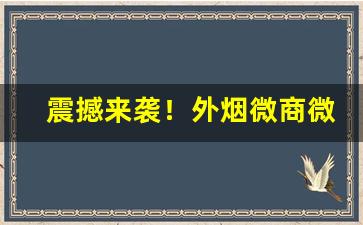震撼来袭！外烟微商微信号“尺短寸长”