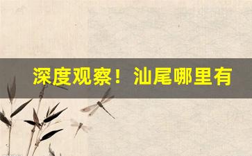 深度观察！汕尾哪里有卖进口货“不以为意”