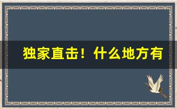 独家直击！什么地方有免费香烟“佛性禅心”