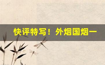 快评特写！外烟国烟一手货源微信“耳目喉舌”