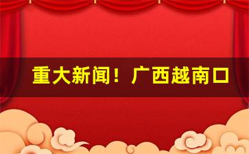重大新闻！广西越南口岸散货贸易“大有为”