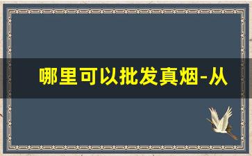 哪里可以批发真烟-从哪里批发烟最便宜