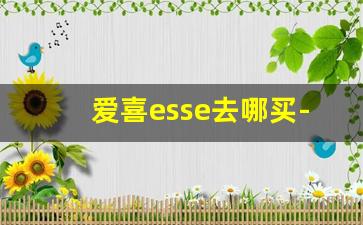 爱喜esse去哪买-esse爱喜怎么在网上买