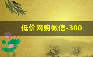 低价网购微信-3000元网购的物品
