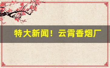 特大新闻！云霄香烟厂家直销货到付款“儿女心肠”