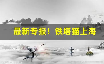 最新专报！铁塔猫上海哪里能买到“盗钟掩耳”