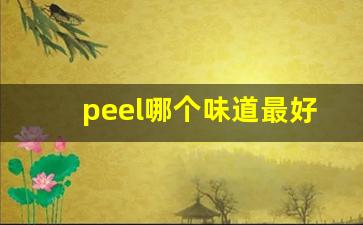 peel哪个味道最好抽-peel购买渠道