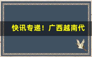 快讯专递！广西越南代工一手香烟“待诏公车”