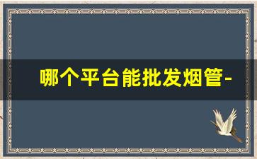 哪个平台能批发烟管-烟管批发去哪里比较好 