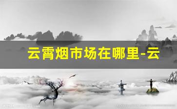 云霄烟市场在哪里-云霄烟30元一条批发