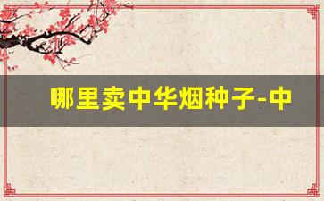 哪里卖中华烟种子-中华烟种植的产地在哪里