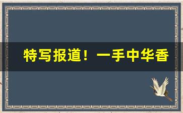 特写报道！一手中华香烟批发代理“俯首听命”