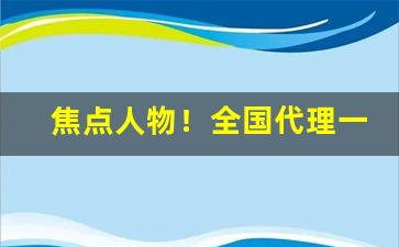 焦点人物！全国代理一件起批“创意造言”