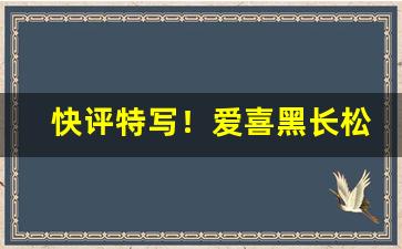 快评特写！爱喜黑长松粗枝“材剧志大”