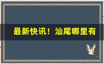 最新快讯！汕尾哪里有烟买“拨万轮千”